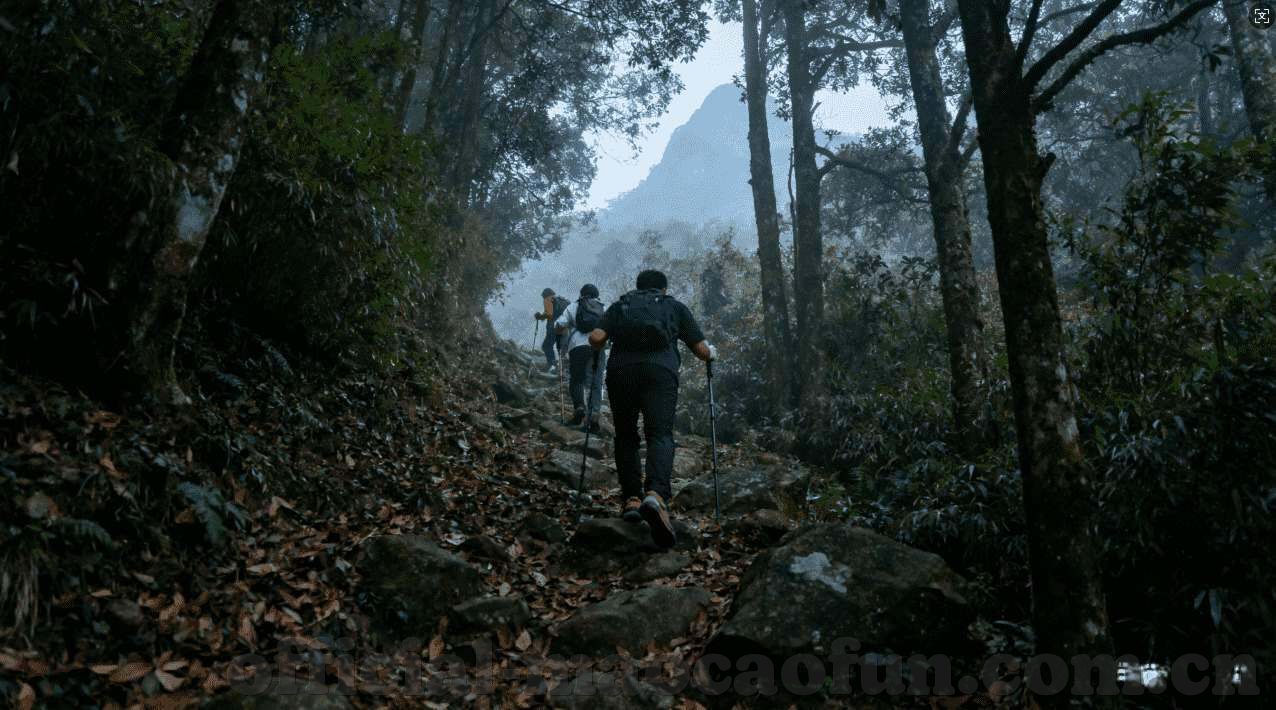 加拿大预测网-加拿大预测网，解锁未来信息的神秘钥匙