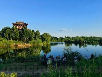 泰国对伊拉克足球比分-泰国VS伊拉克,一场跨越地域的足球对话与比分背后的深层解读