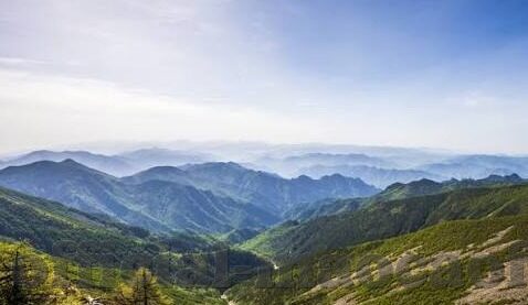 体育足球比分500-体育足球比分500,数据背后的热血与荣耀